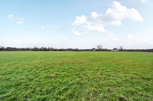 Photo 3- click for photo gallery